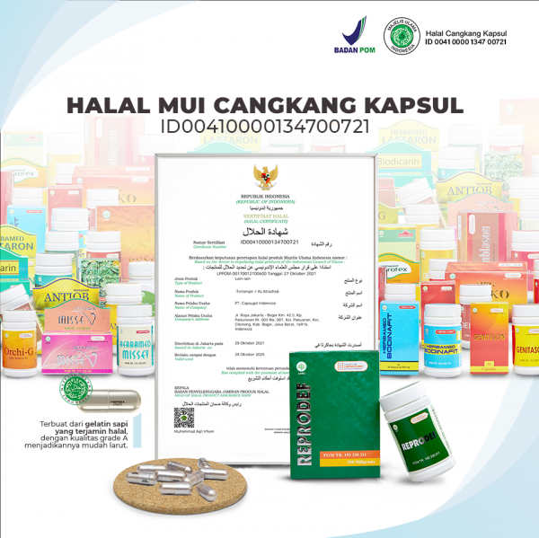 1731729275_produk3_600x599.png